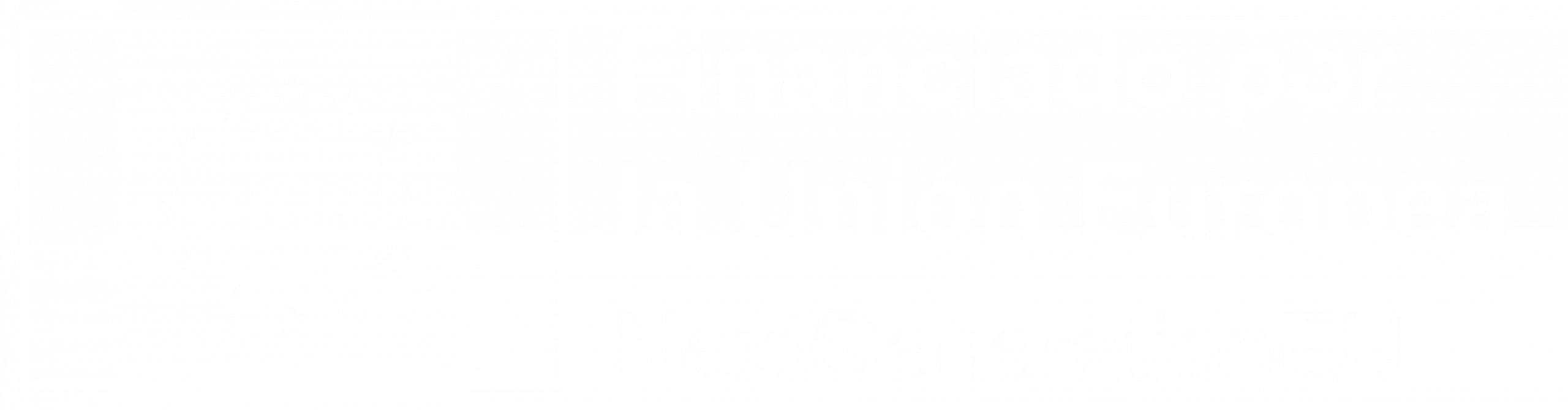 logo1