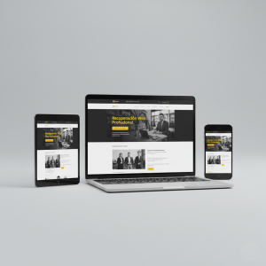 Recuperación web profesional